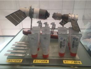 从远渡重洋到回乡筑巢 侨资回流助力发展的新篇章